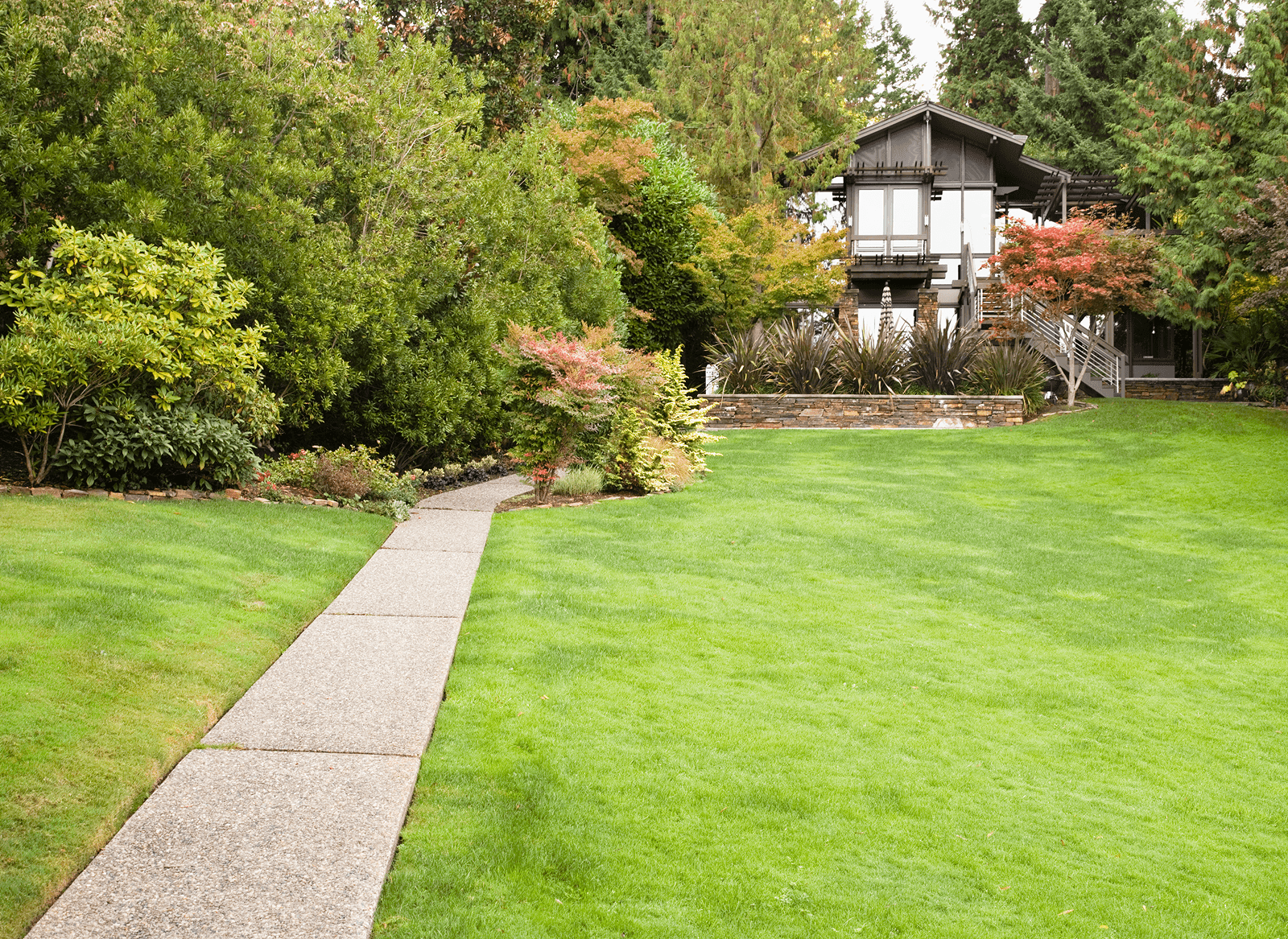 Site Prep & Construction